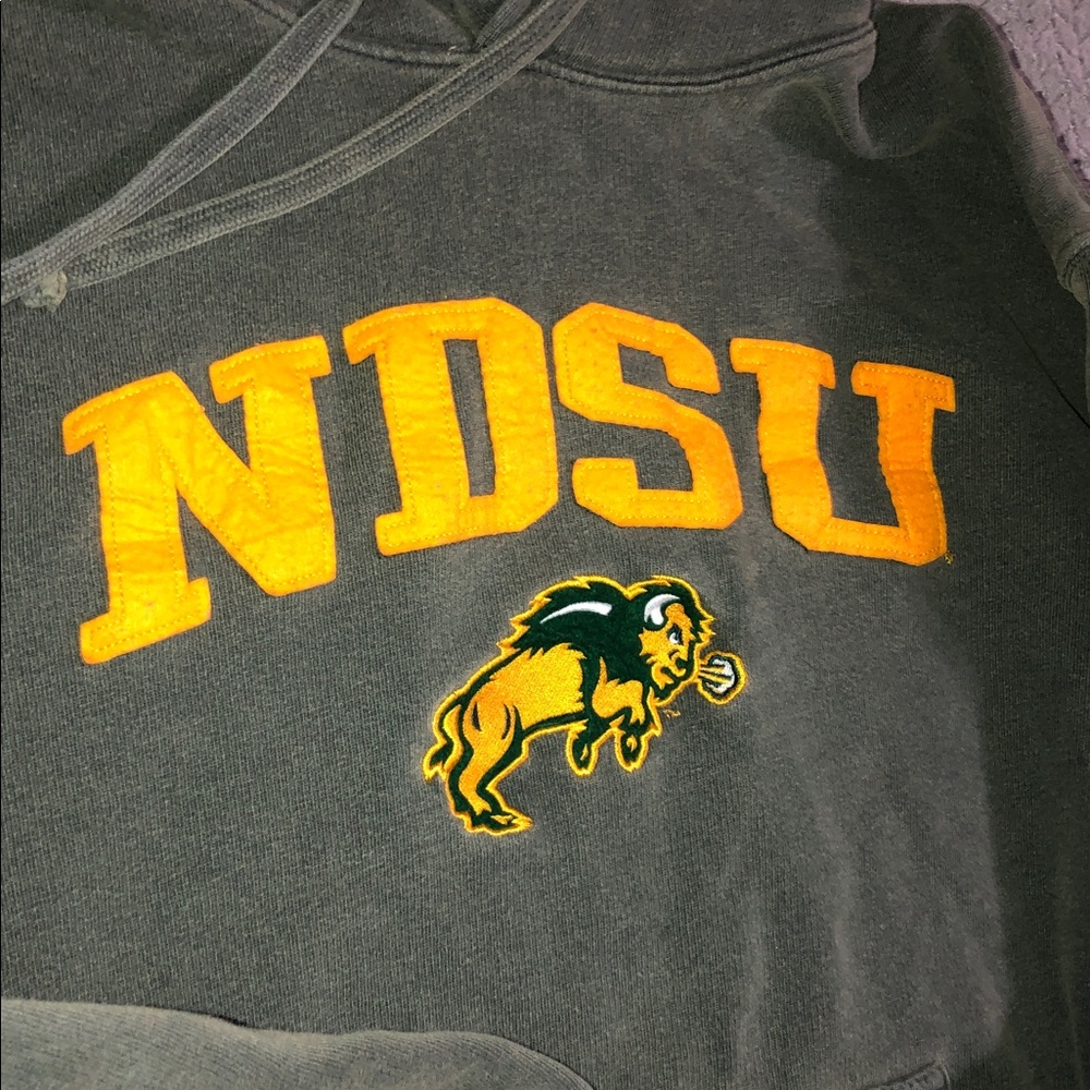Ndsu Bison Hoodie View 3